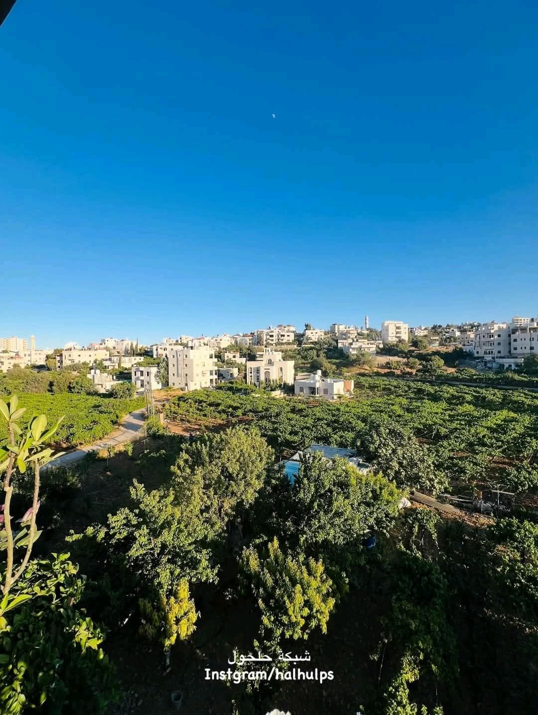 الخليل | موسوعة القرى الفلسطينية